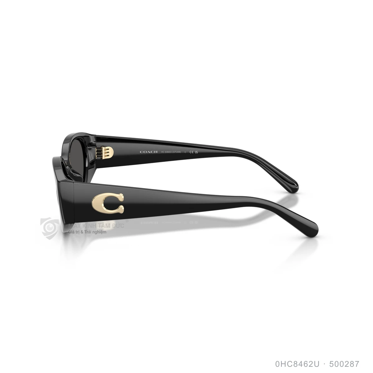Kính mát Coach 0HC8462U - Ảnh 9