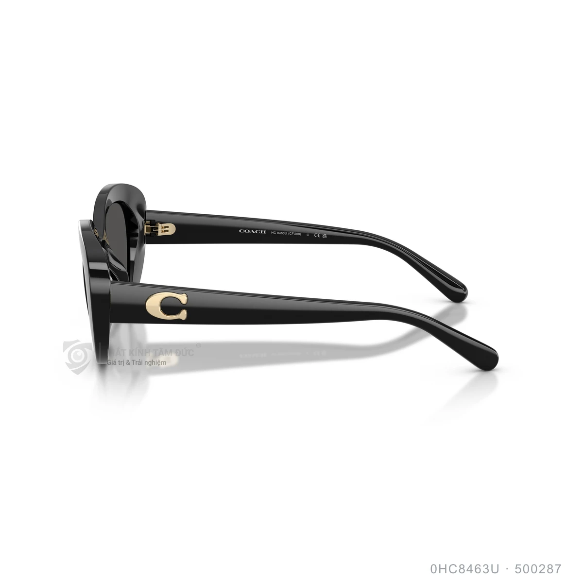 Kính mát Coach 0HC8463U - Ảnh 4
