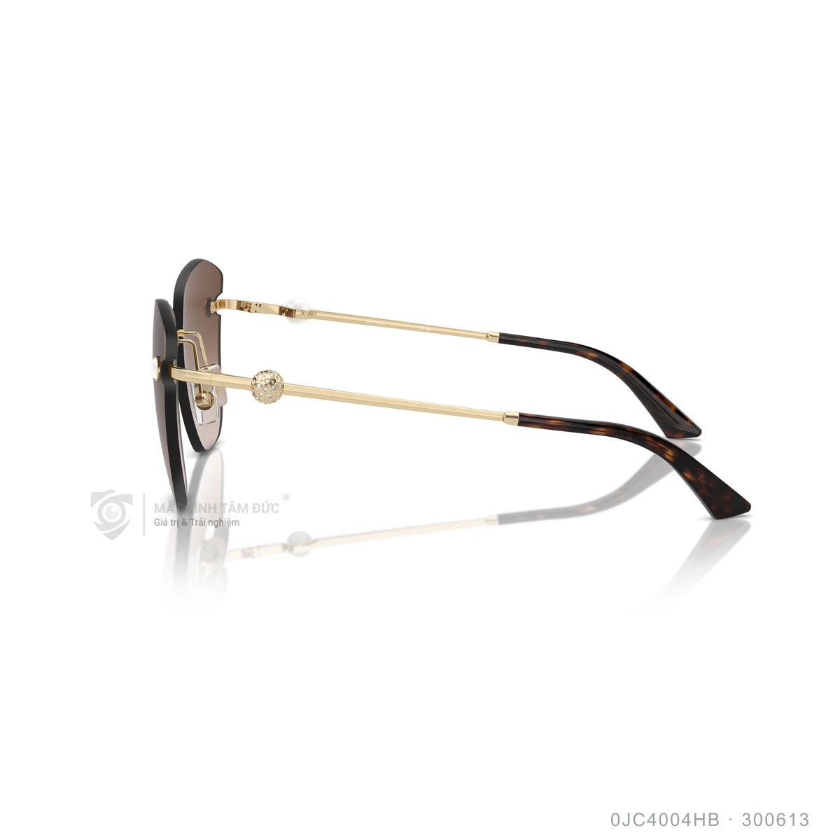 Kính mát Jimmy Choo 0JC4004HB - Ảnh 9