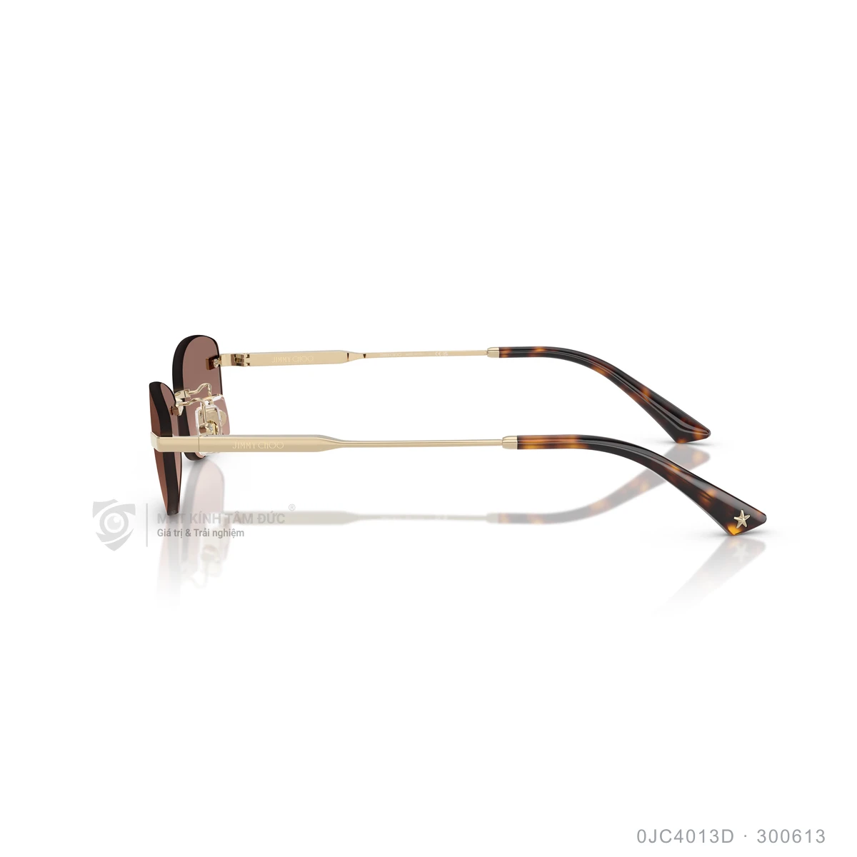 Kính mát Jimmy Choo 0JC4013D - Ảnh 4