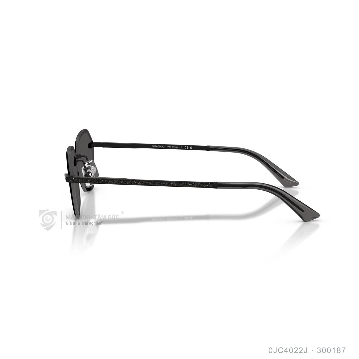 Kính mát Jimmy Choo 0JC4022J - Ảnh 4