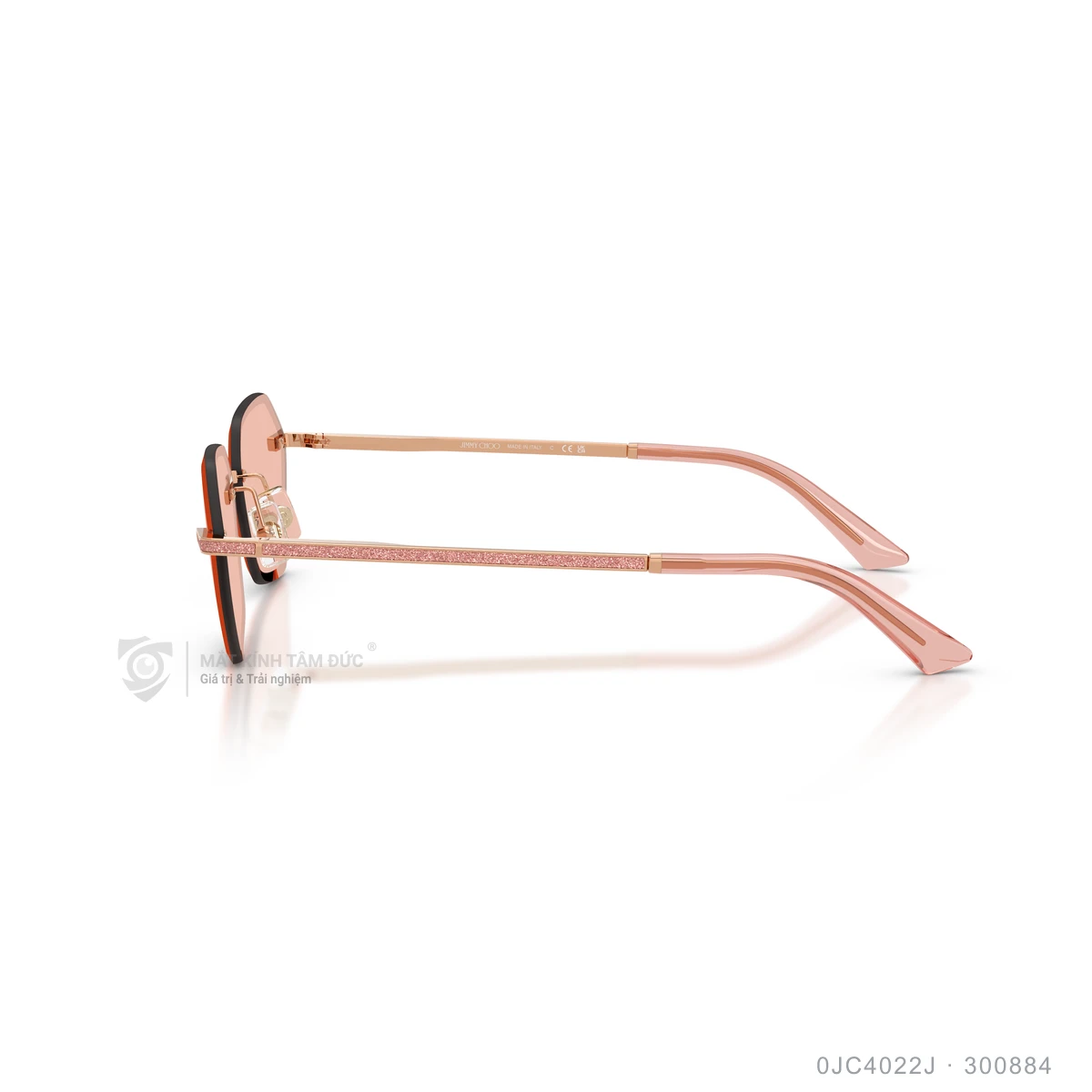 Kính mát Jimmy Choo 0JC4022J - Ảnh 19
