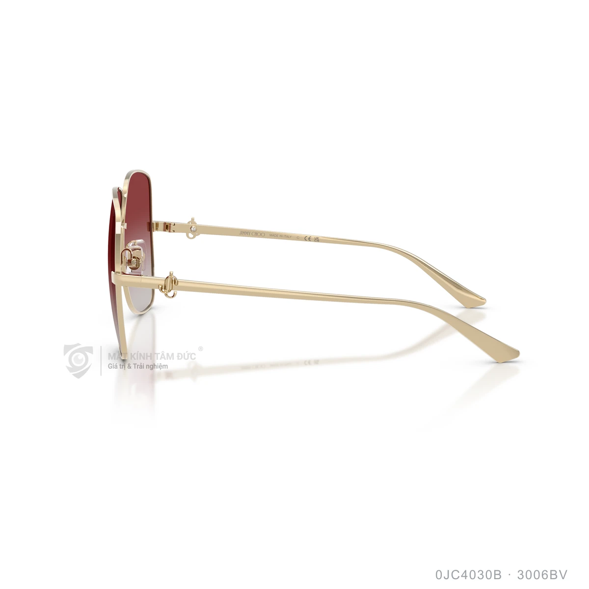 Kính mát Jimmy Choo 0JC4030B - Ảnh 19