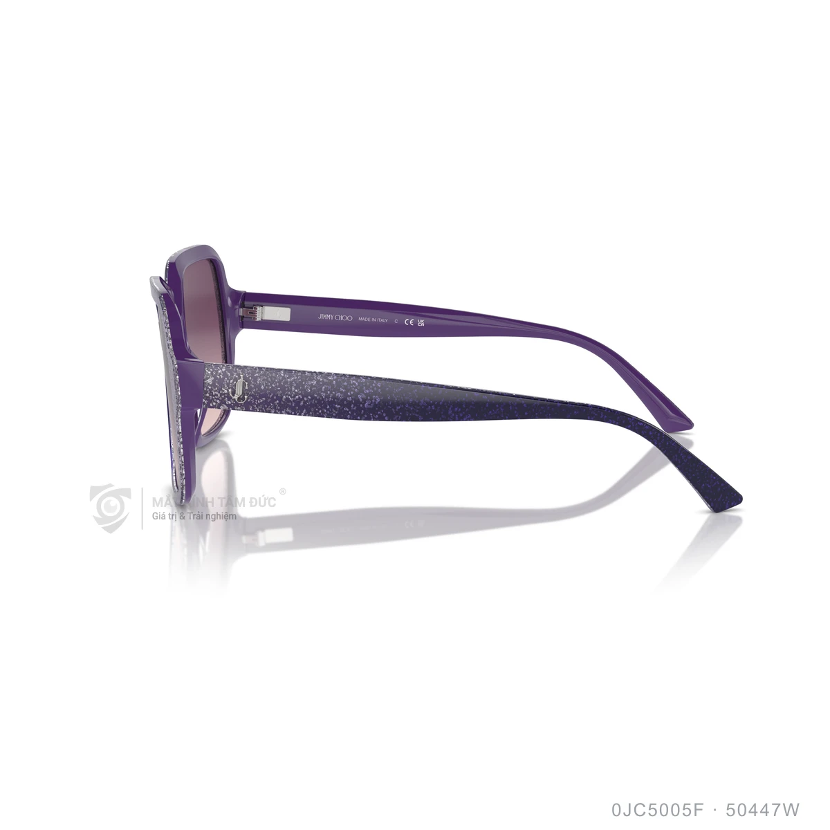 Kính mát Jimmy Choo 0JC5005F - Ảnh 9