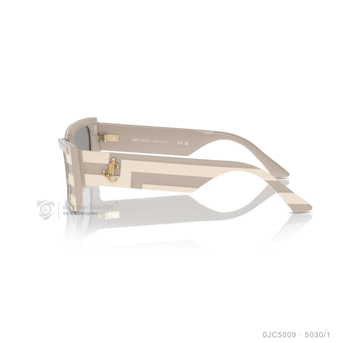 Kính mát Jimmy Choo 0JC5009 - Ảnh 14