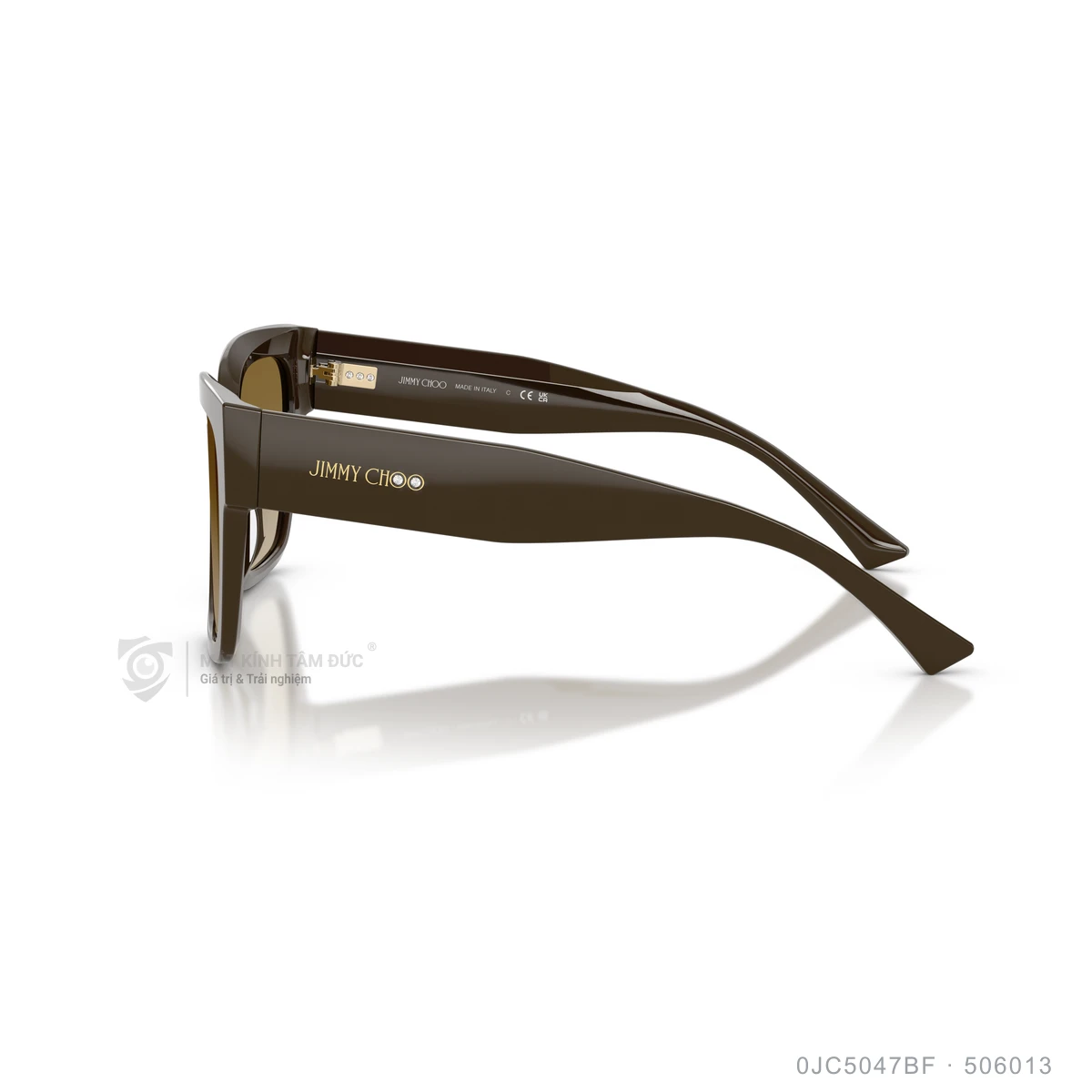 Kính mát Jimmy Choo 0JC5047BF - Ảnh 19