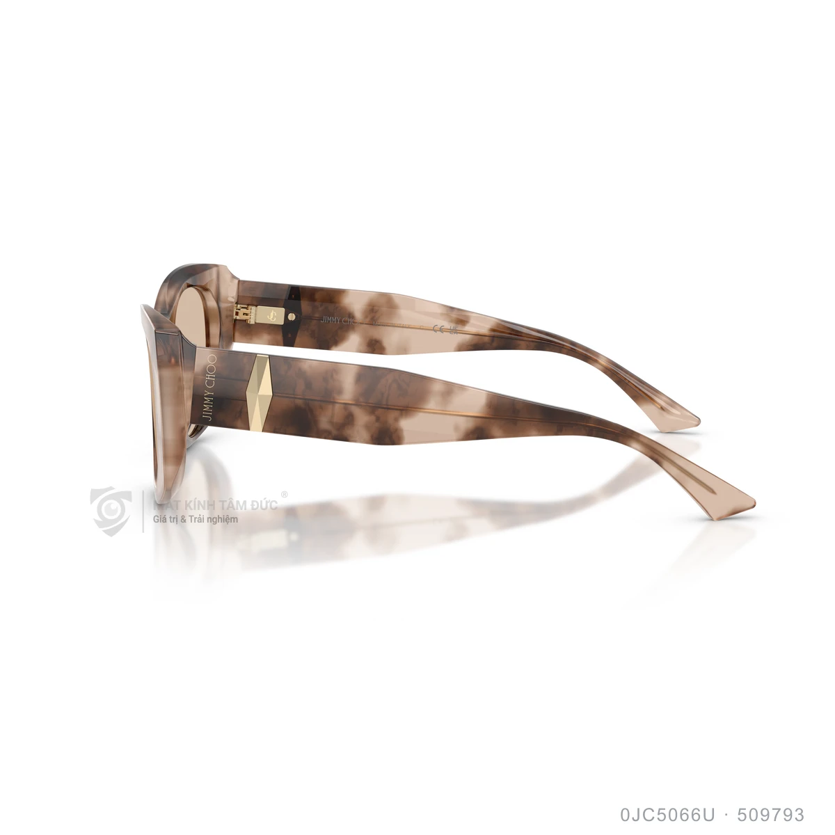 Kính mát Jimmy Choo 0JC5066U - Ảnh 19