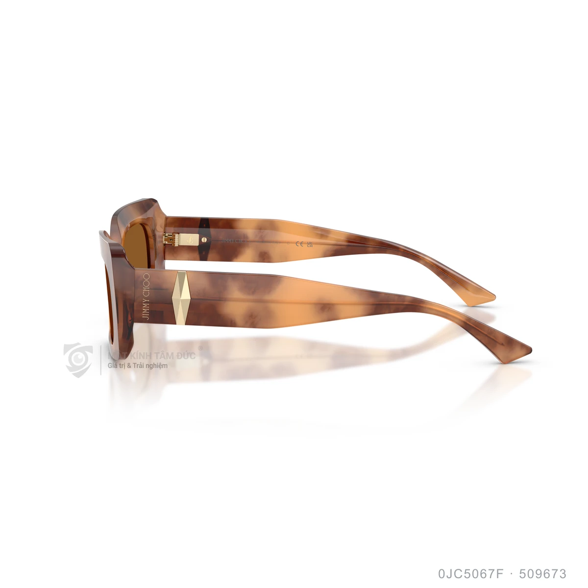 Kính mát Jimmy Choo 0JC5067F - Ảnh 14