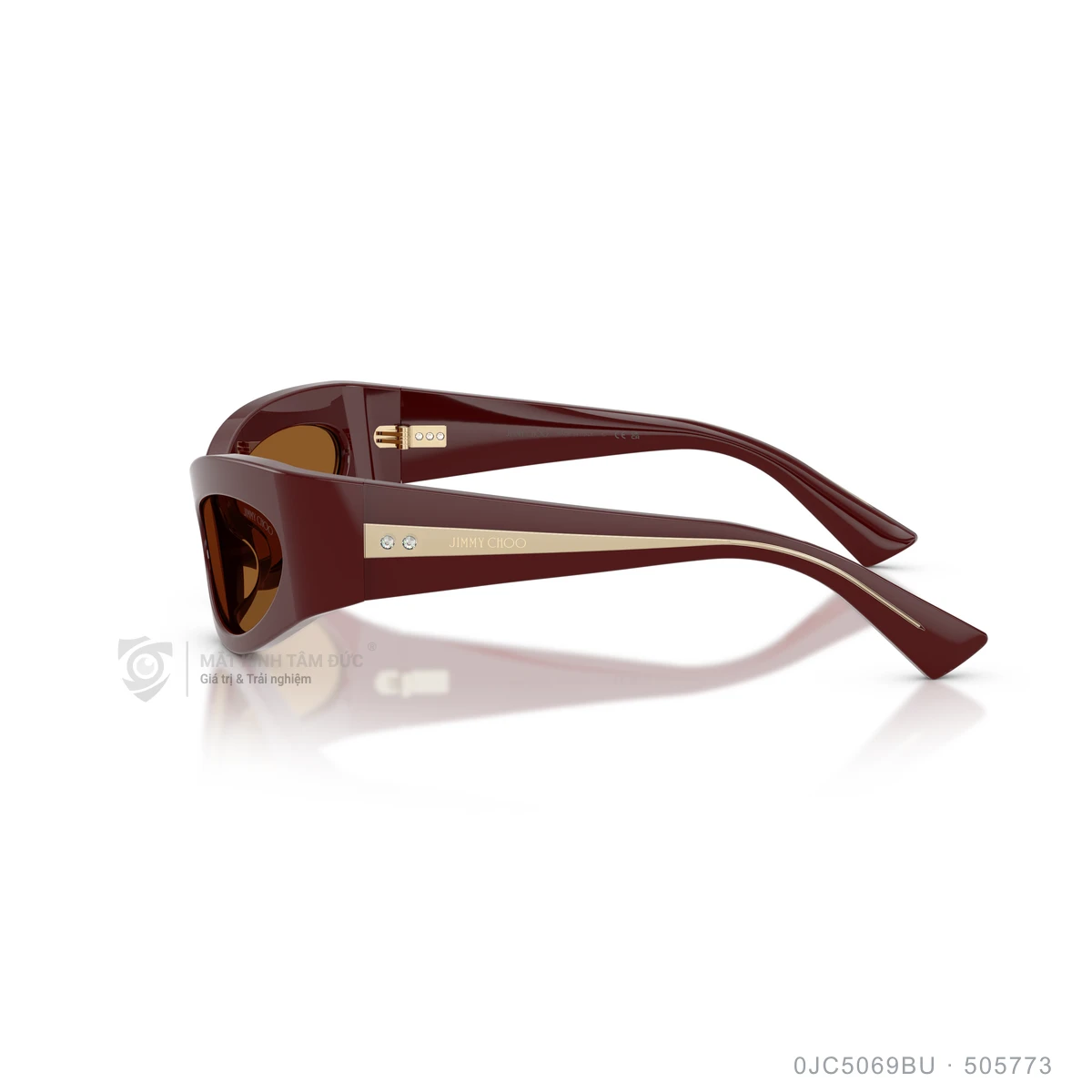 Kính mát Jimmy Choo 0JC5069BU - Ảnh 9