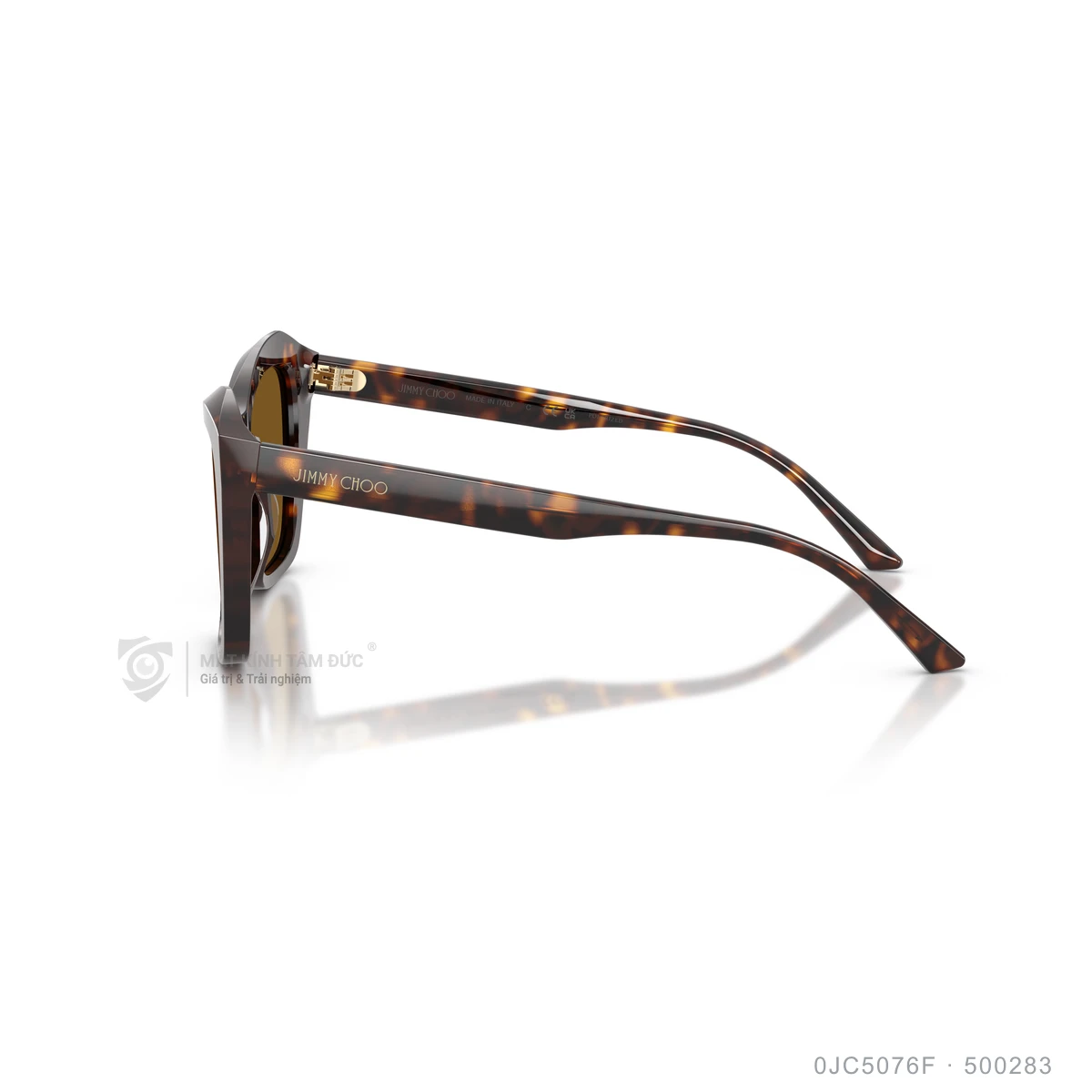 Kính mát Jimmy Choo 0JC5076F - Ảnh 14