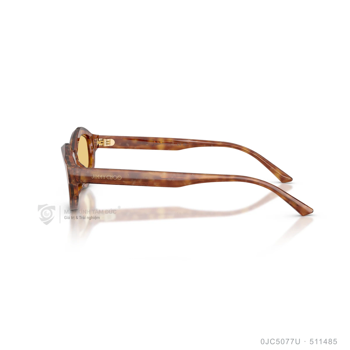 Kính mát Jimmy Choo 0JC5077U - Ảnh 14