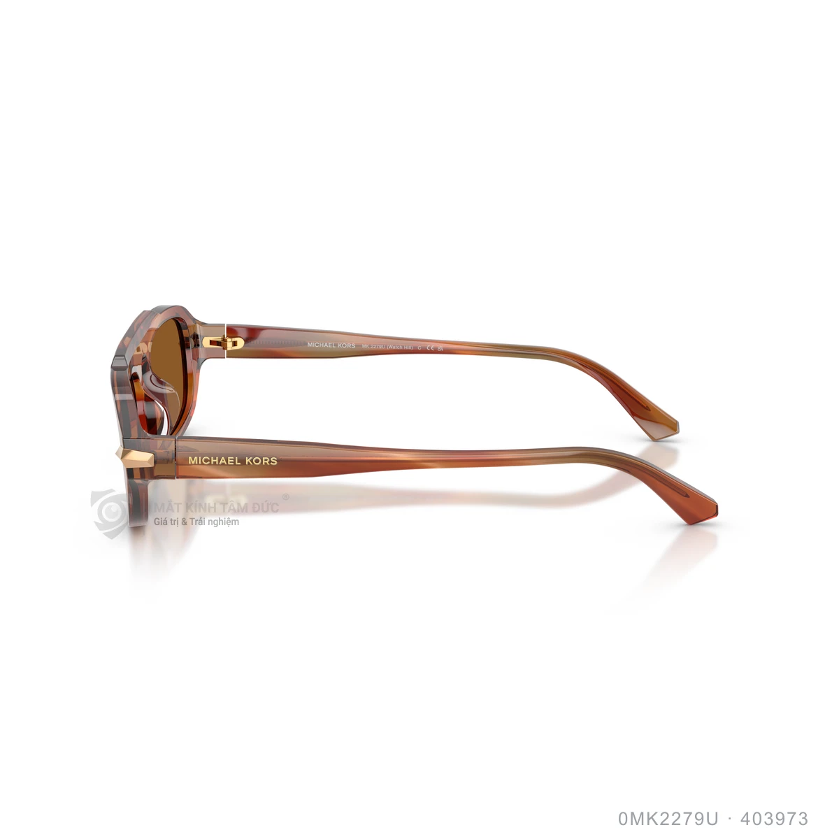 Kính mát Michael Kors 0MK2279U - Ảnh 4