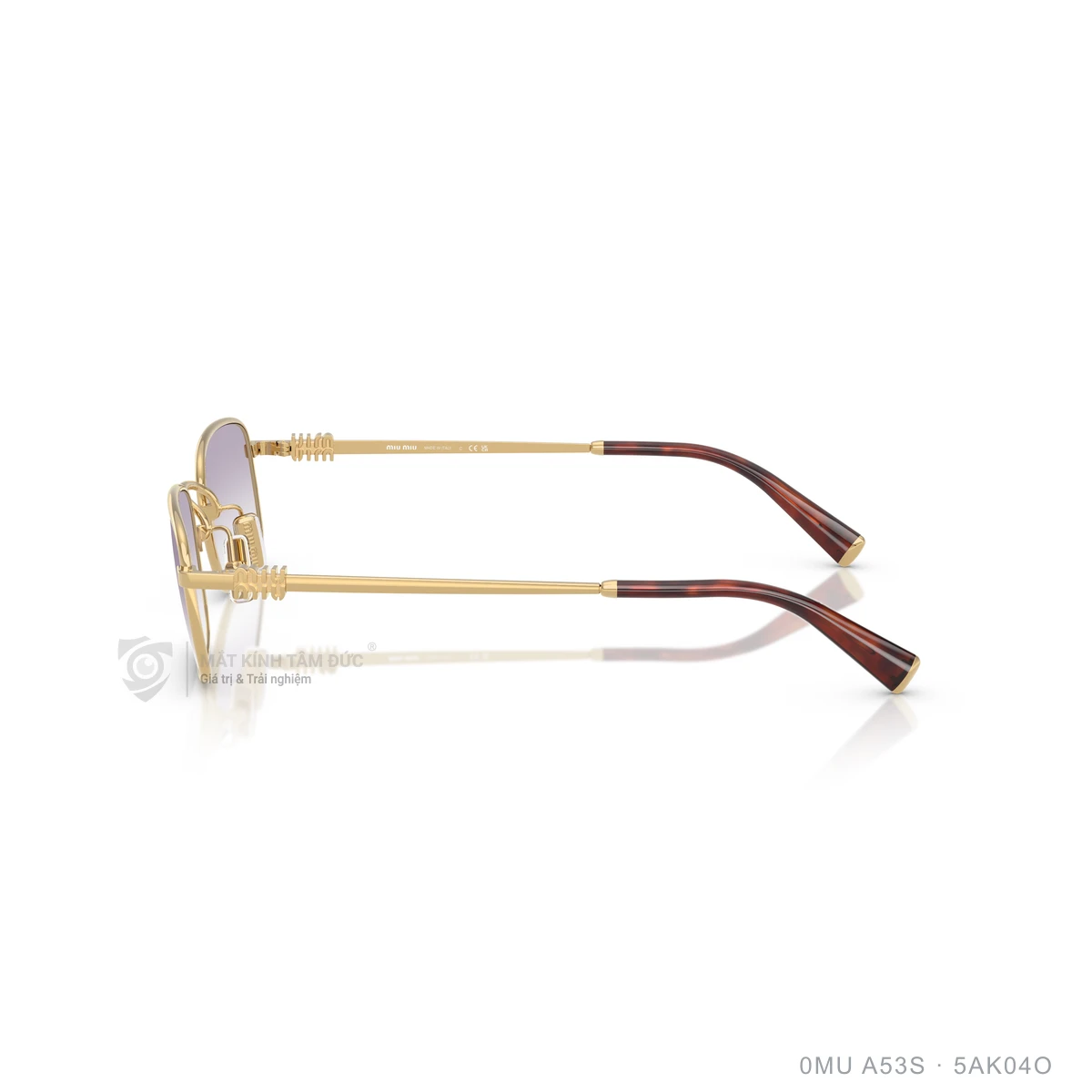 Kính mát Miu Miu 0MU A53S - Ảnh 14