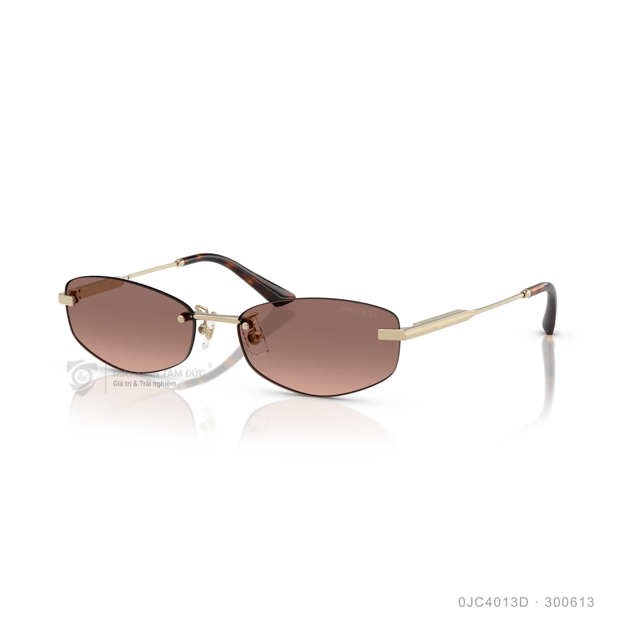 Kính mát Jimmy Choo 0JC4013D - Ảnh 2