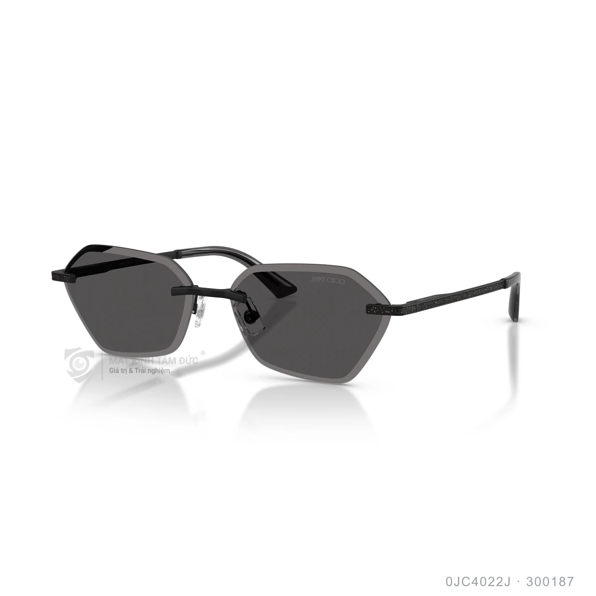 Kính mát Jimmy Choo 0JC4022J - Ảnh 2