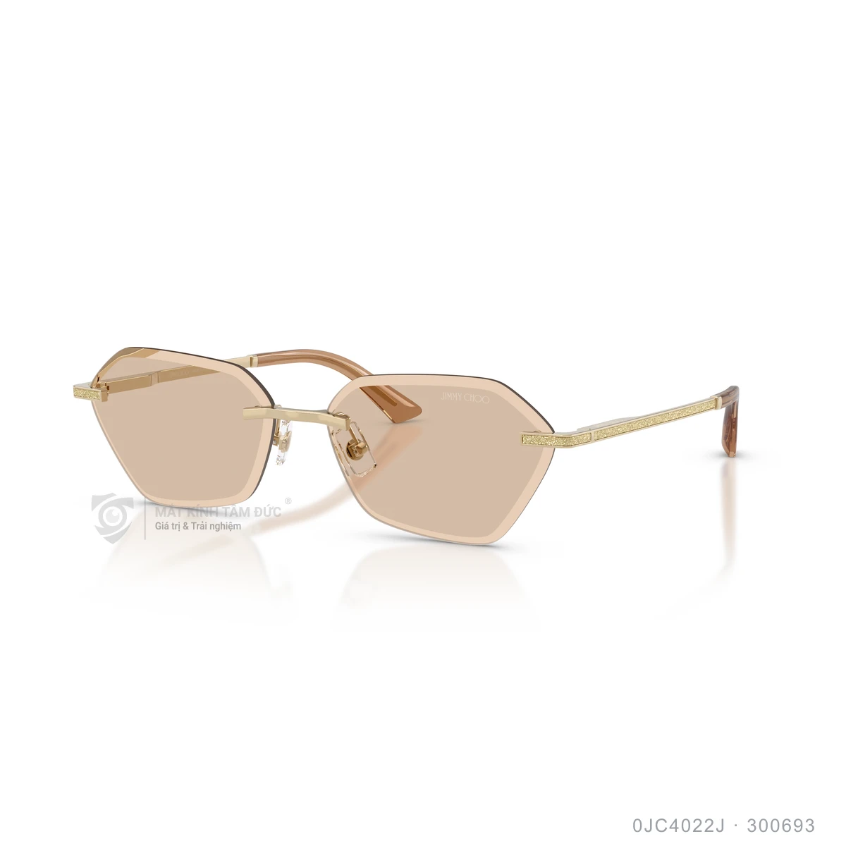 Kính mát Jimmy Choo 0JC4022J - Ảnh 12