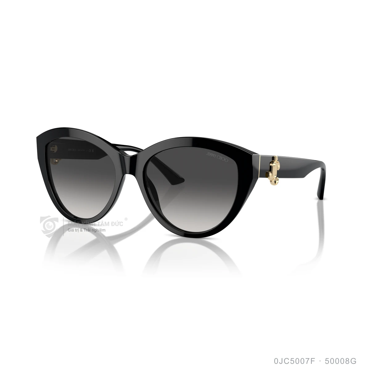 Kính mát Jimmy Choo 0JC5007F - Ảnh 2