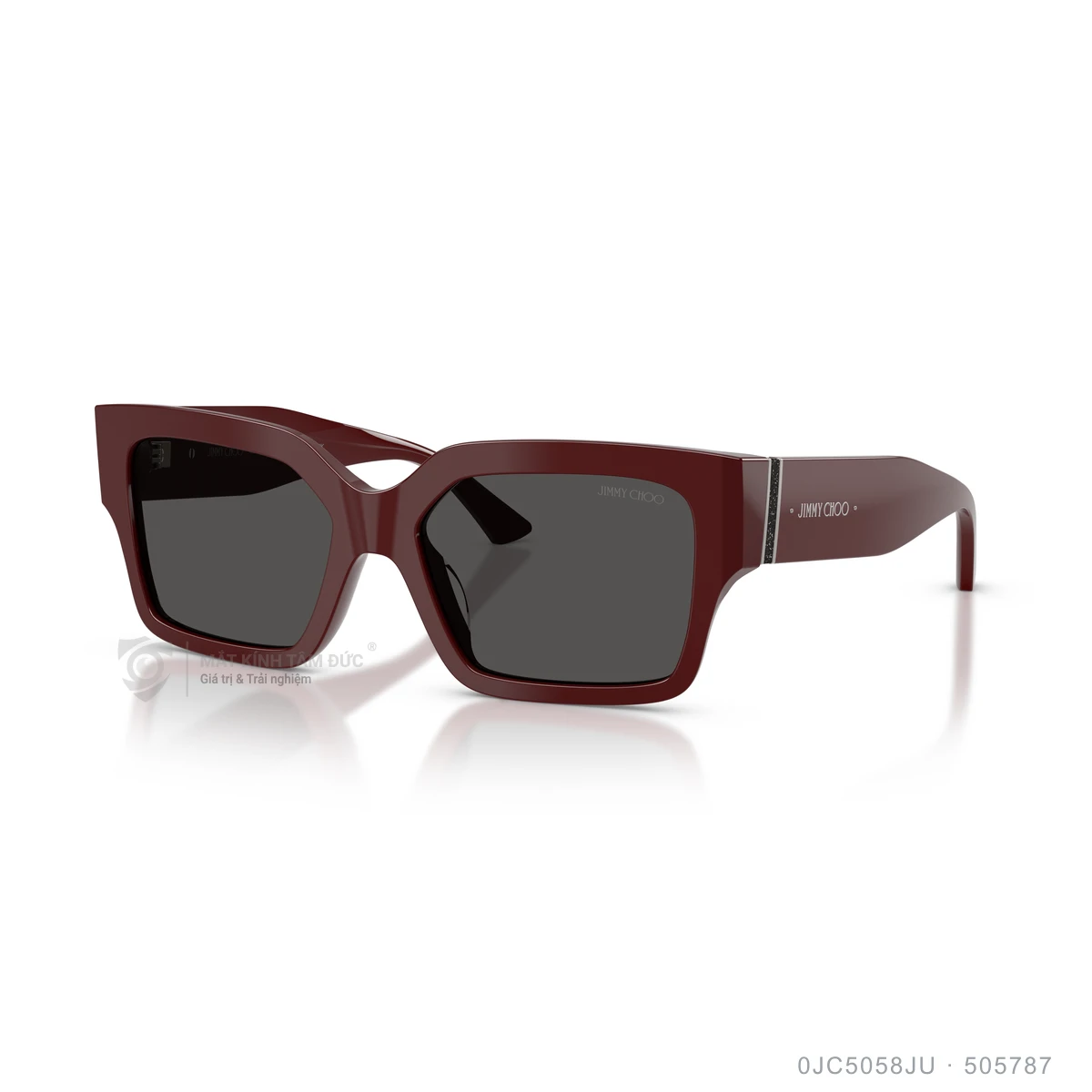 Kính mát Jimmy Choo 0JC5058JU - Ảnh 22