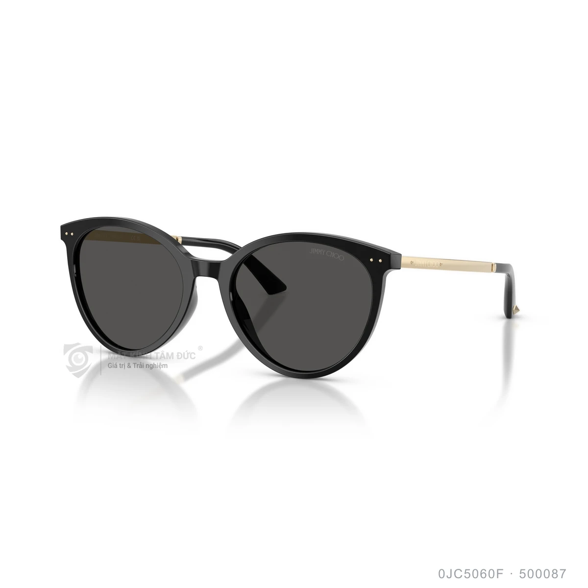 Kính mát Jimmy Choo 0JC5060F - Ảnh 2