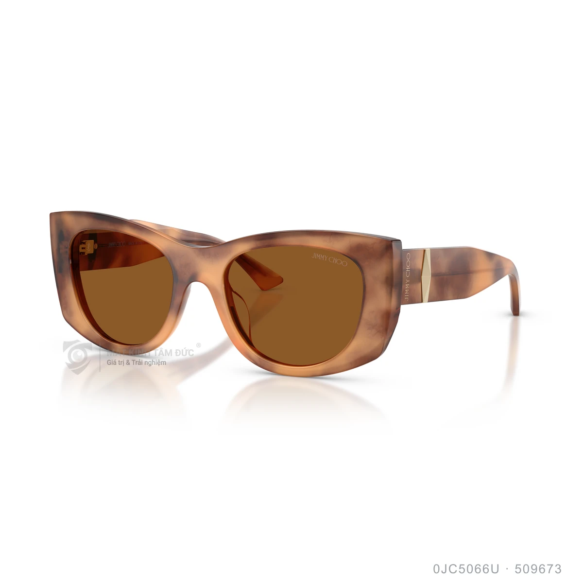 Kính mát Jimmy Choo 0JC5066U - Ảnh 12