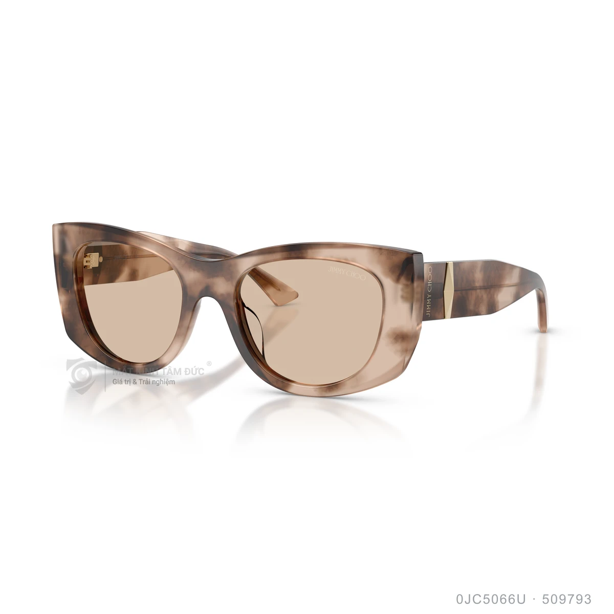 Kính mát Jimmy Choo 0JC5066U - Ảnh 17