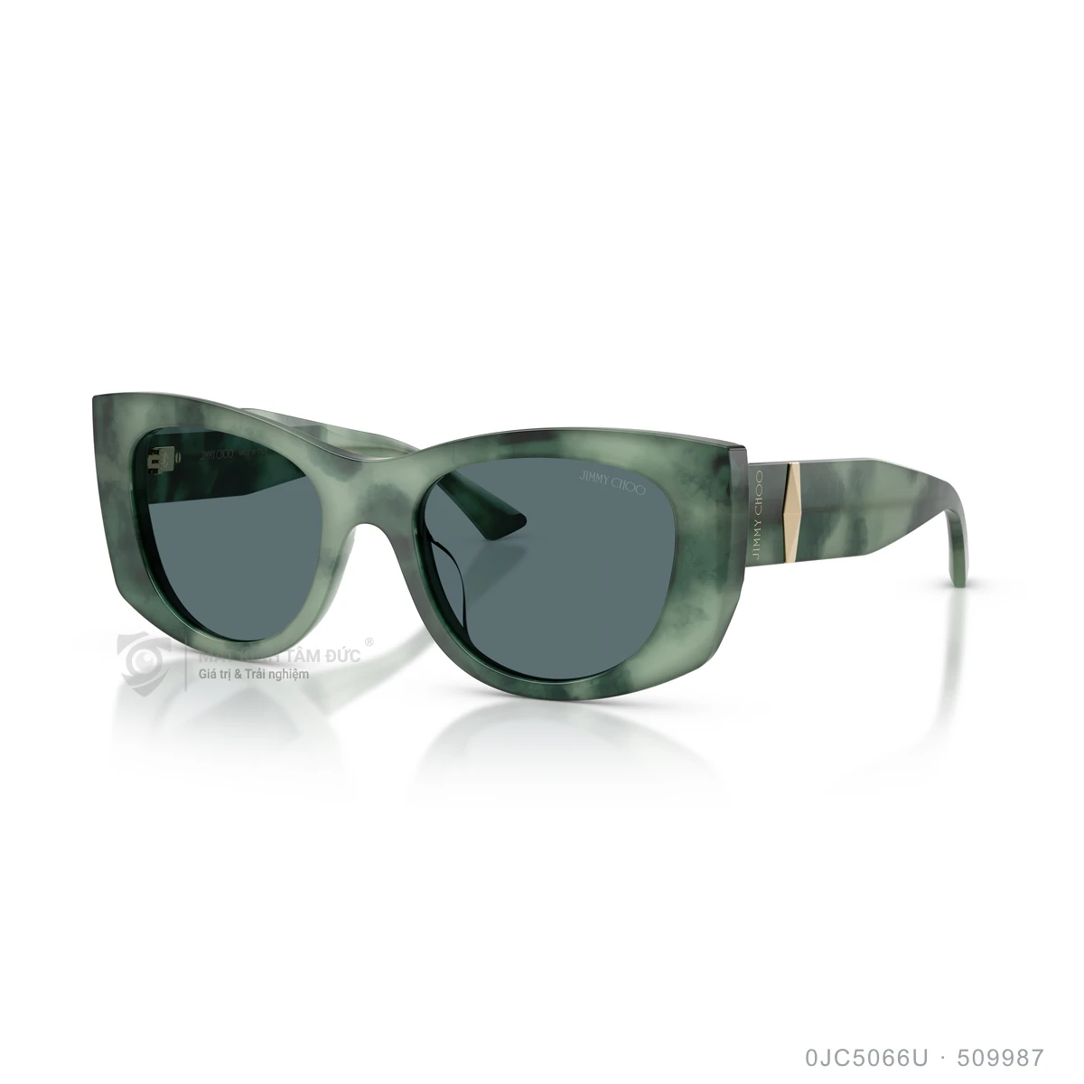 Kính mát Jimmy Choo 0JC5066U - Ảnh 22