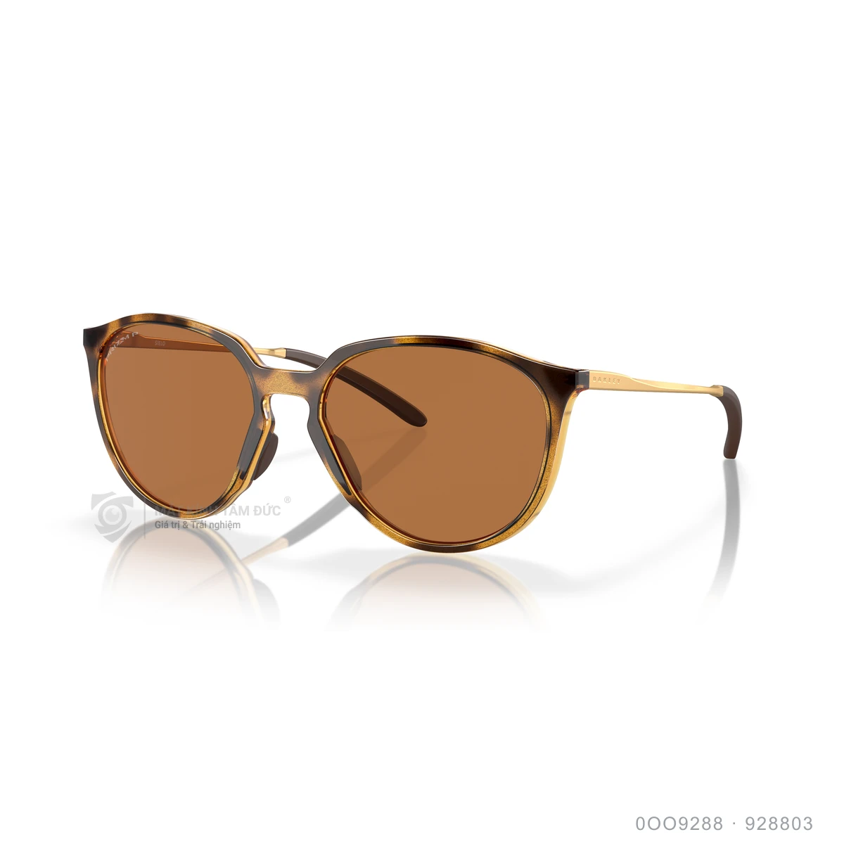 Chi tiết góc nghiêng Kính mát Oakley 0OO9288