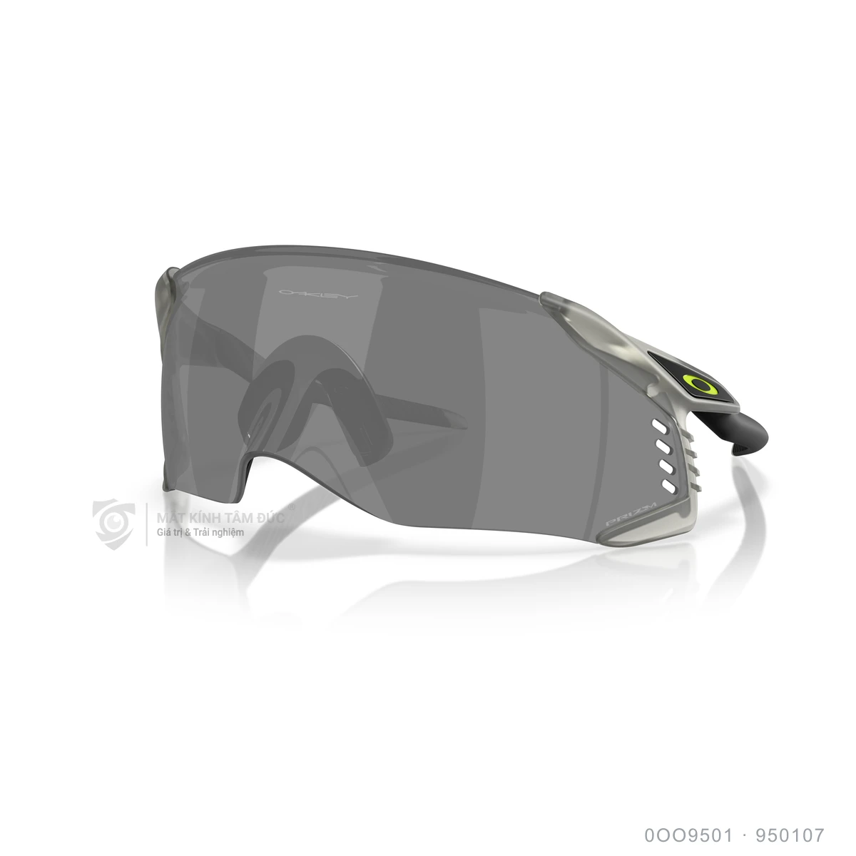 Kính mát Oakley 0OO9501 - Ảnh 37