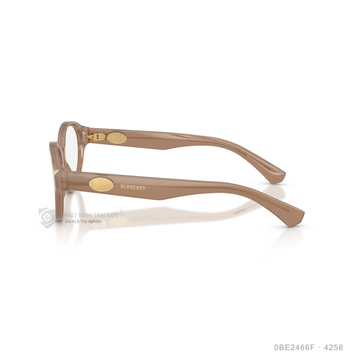 Gọng kính Burberry 0BE2466F - Ảnh 19