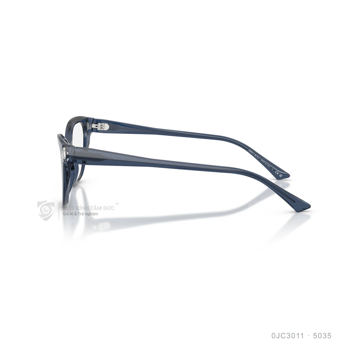Gọng kính Jimmy Choo 0JC3011 - Ảnh 29