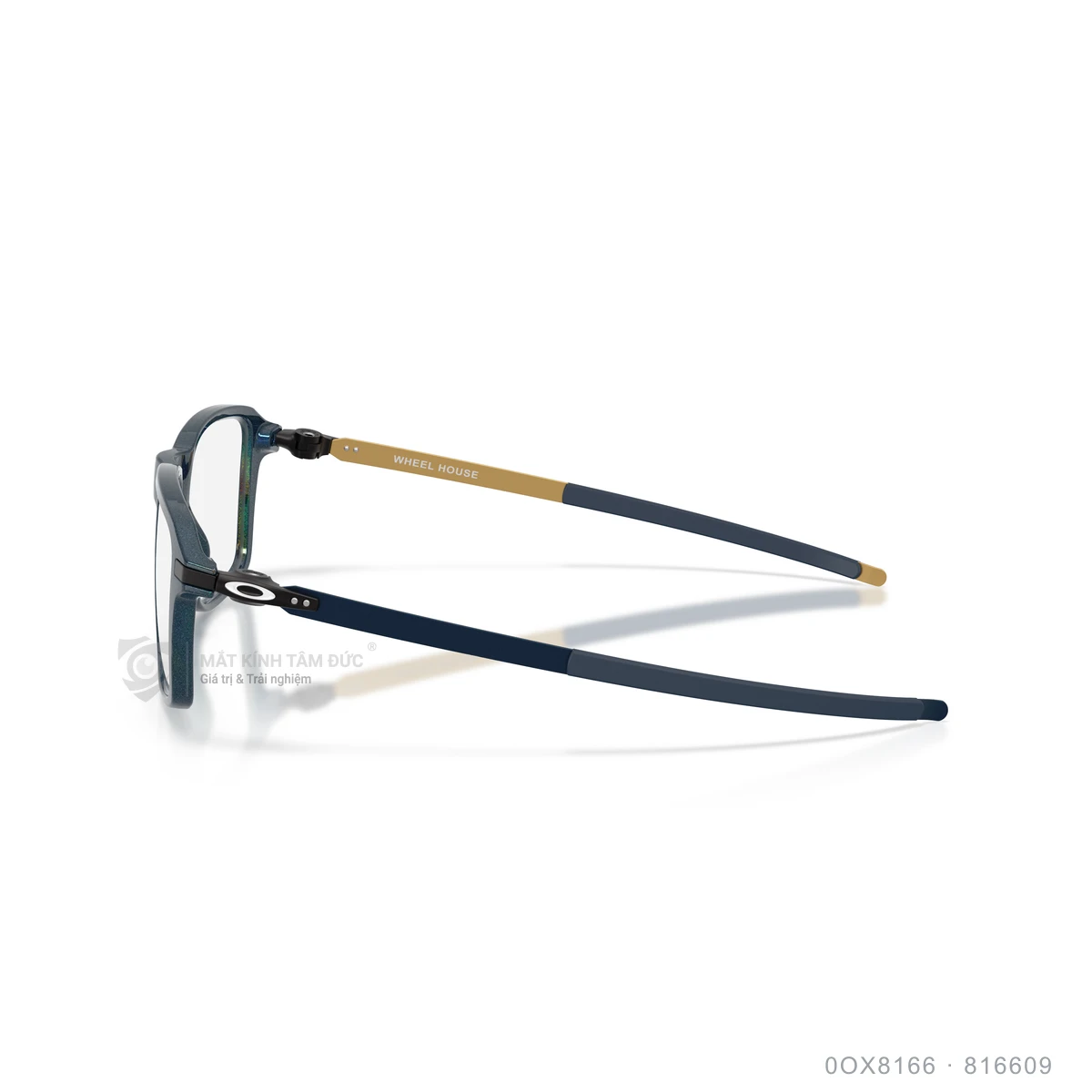 Gọng kính Oakley 0OX8166 - Ảnh 14
