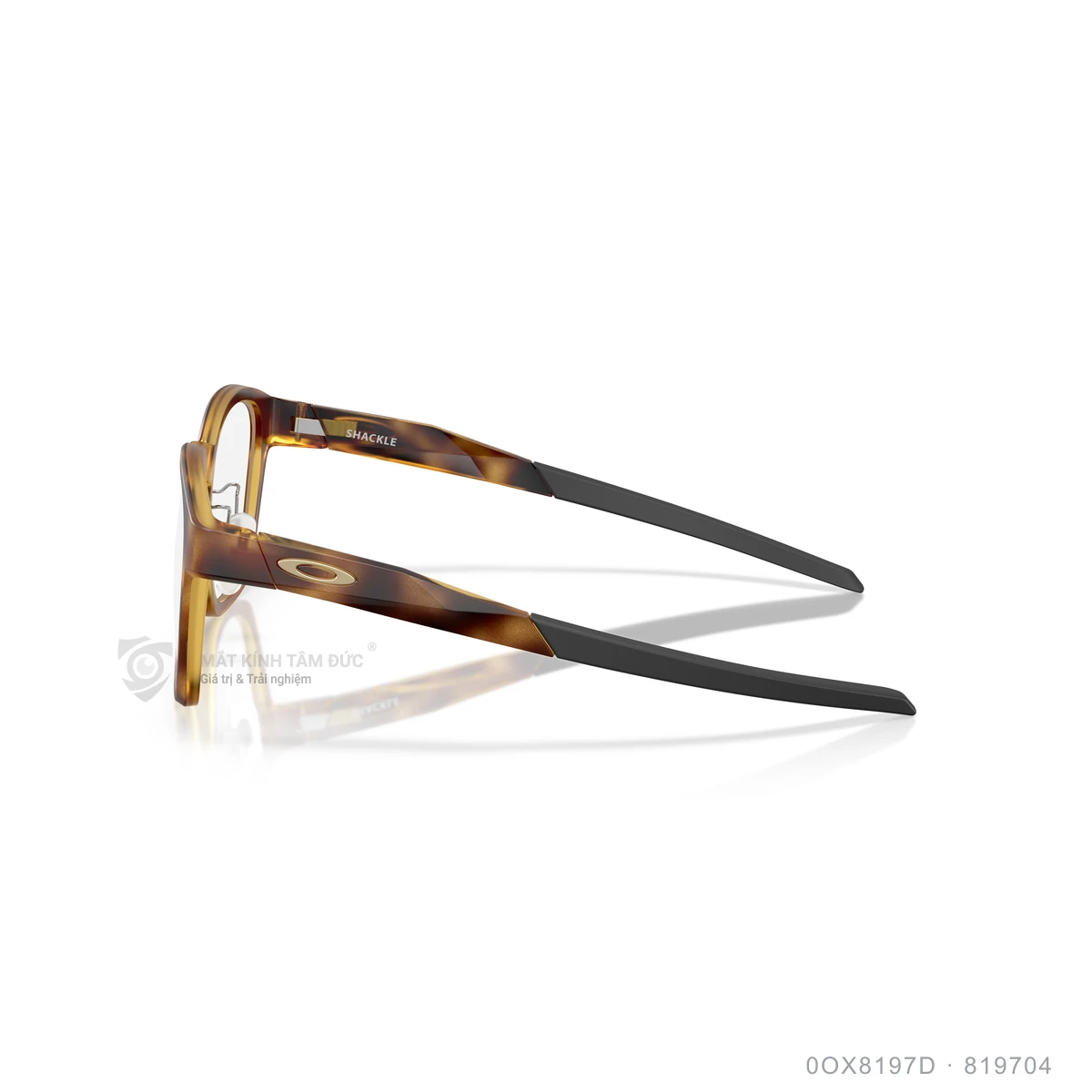 Gọng kính Oakley 0OX8197D - Ảnh 19
