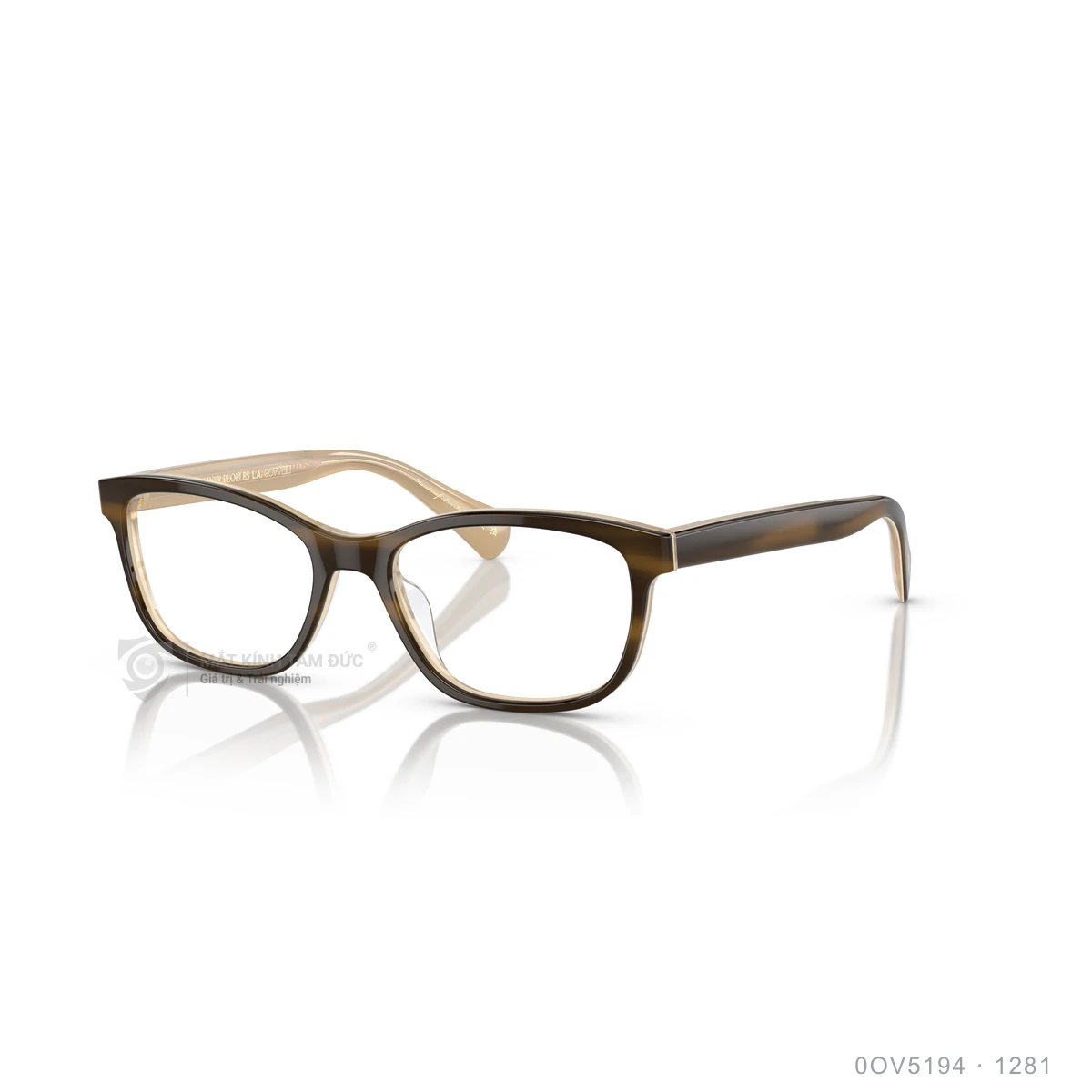 Chi tiết góc nghiêng Gọng kính Oliver Peoples 0OV5194