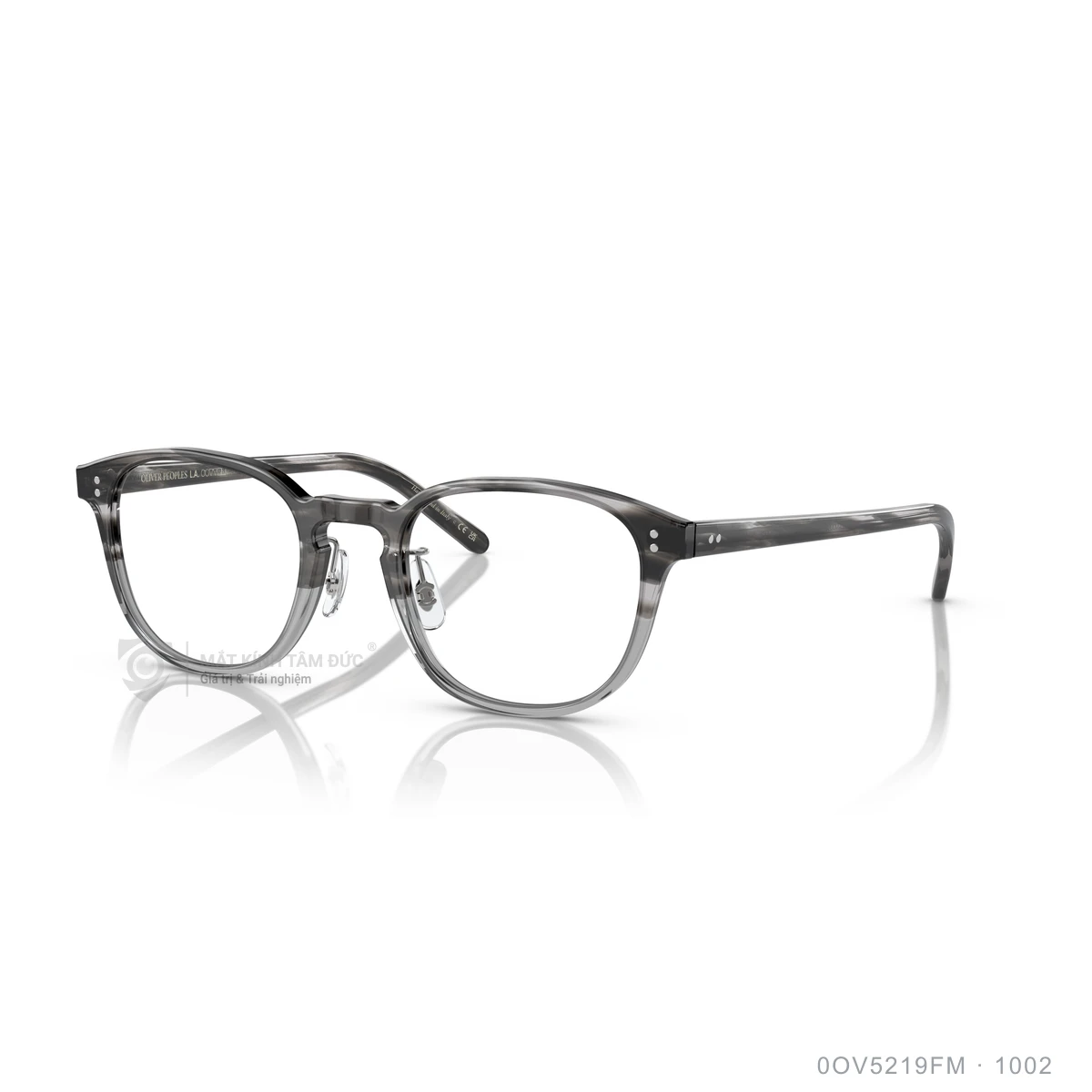Chi tiết góc nghiêng Gọng kính Oliver Peoples 0OV5219FM