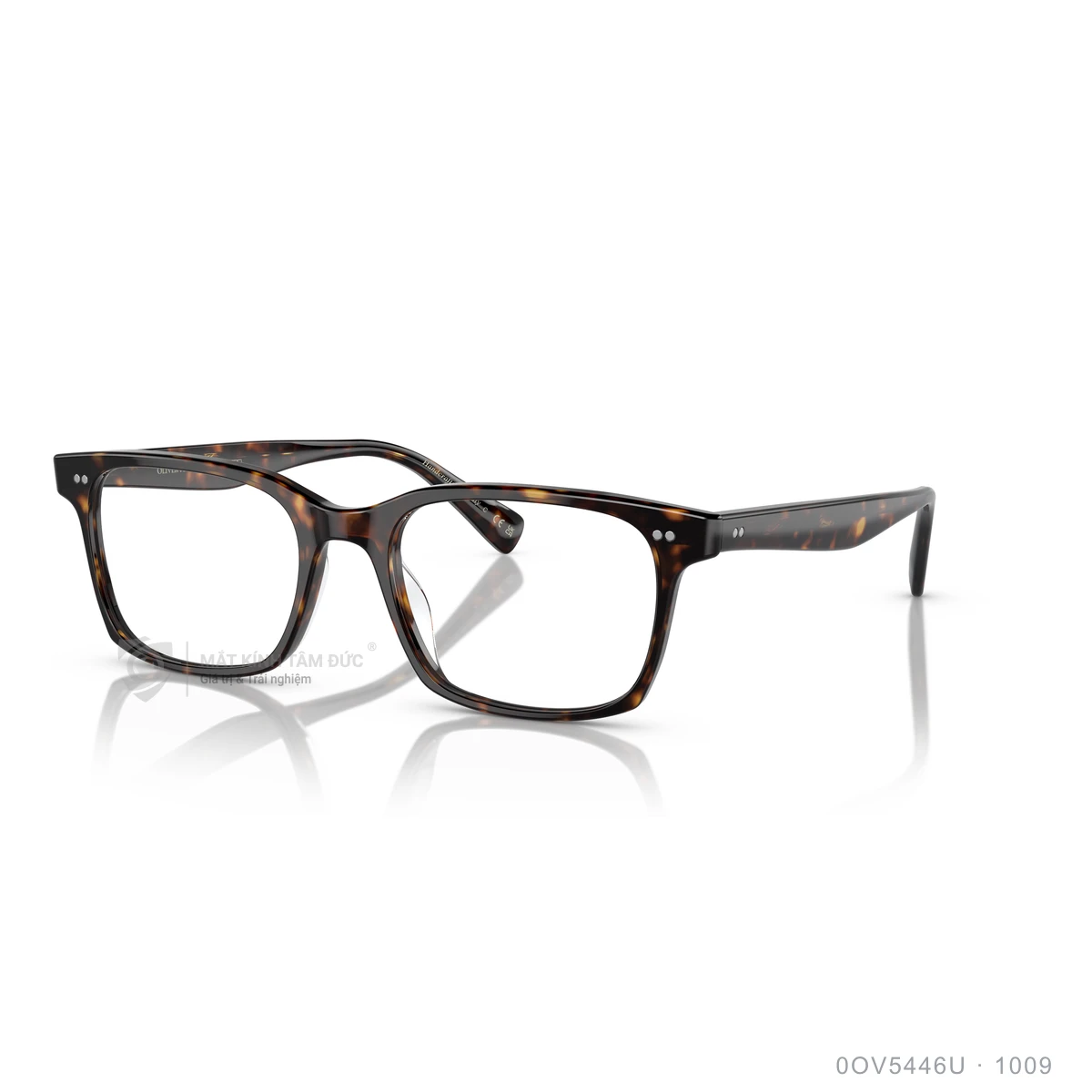 Chi tiết góc nghiêng Gọng kính Oliver Peoples 0OV5446U