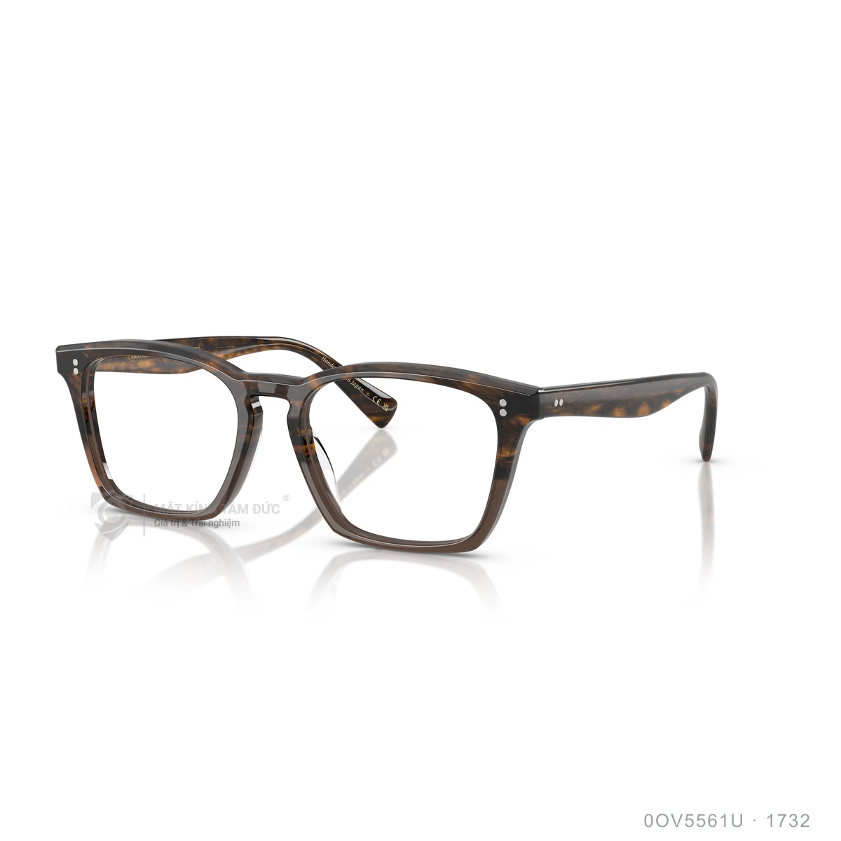 Chi tiết góc nghiêng Gọng kính Oliver Peoples 0OV5561U