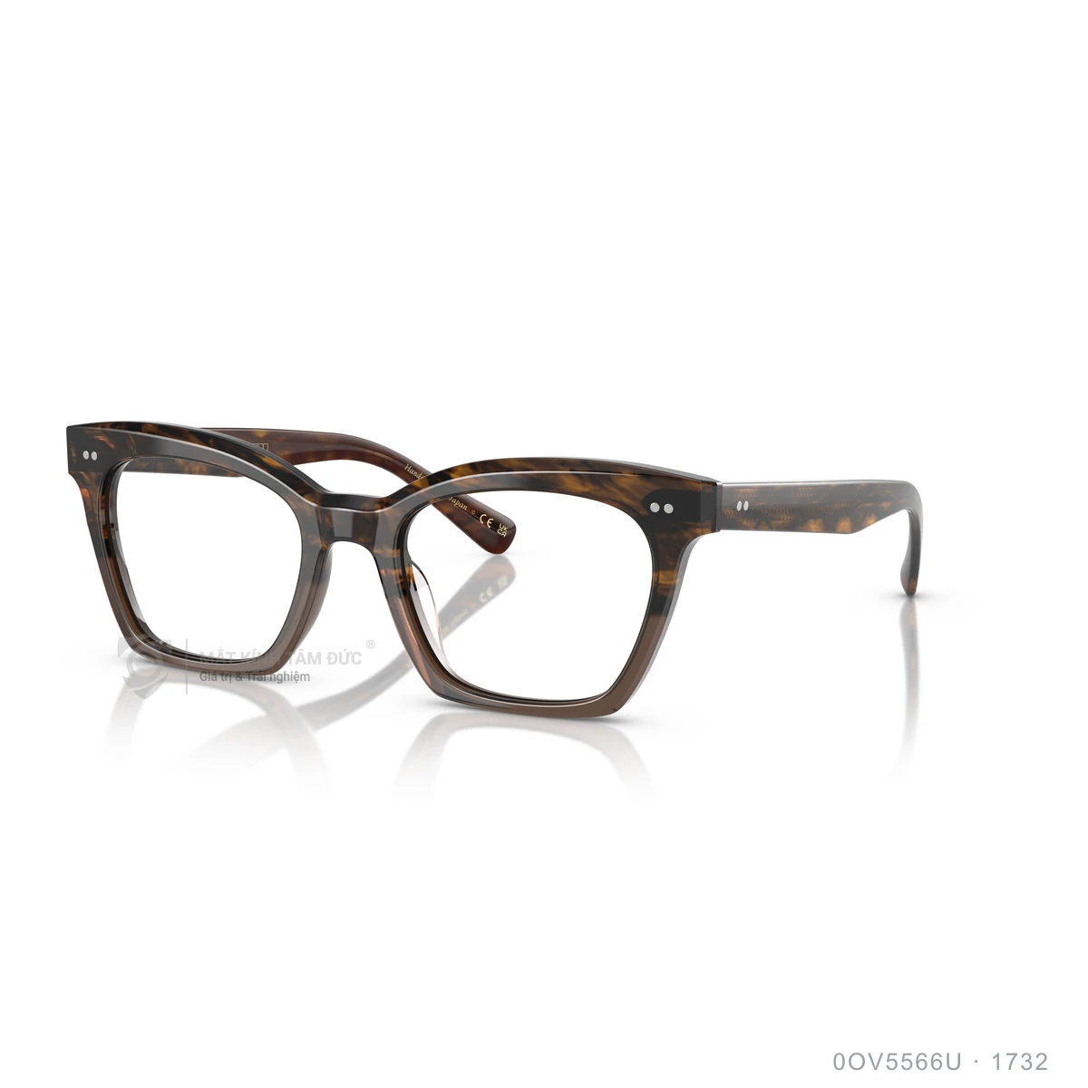 Chi tiết góc nghiêng Gọng kính Oliver Peoples 0OV5566U
