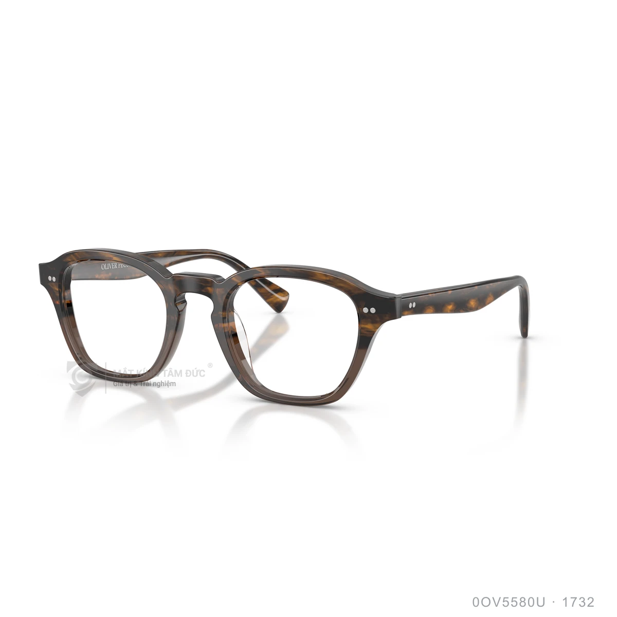 Chi tiết góc nghiêng Gọng kính Oliver Peoples 0OV5580U