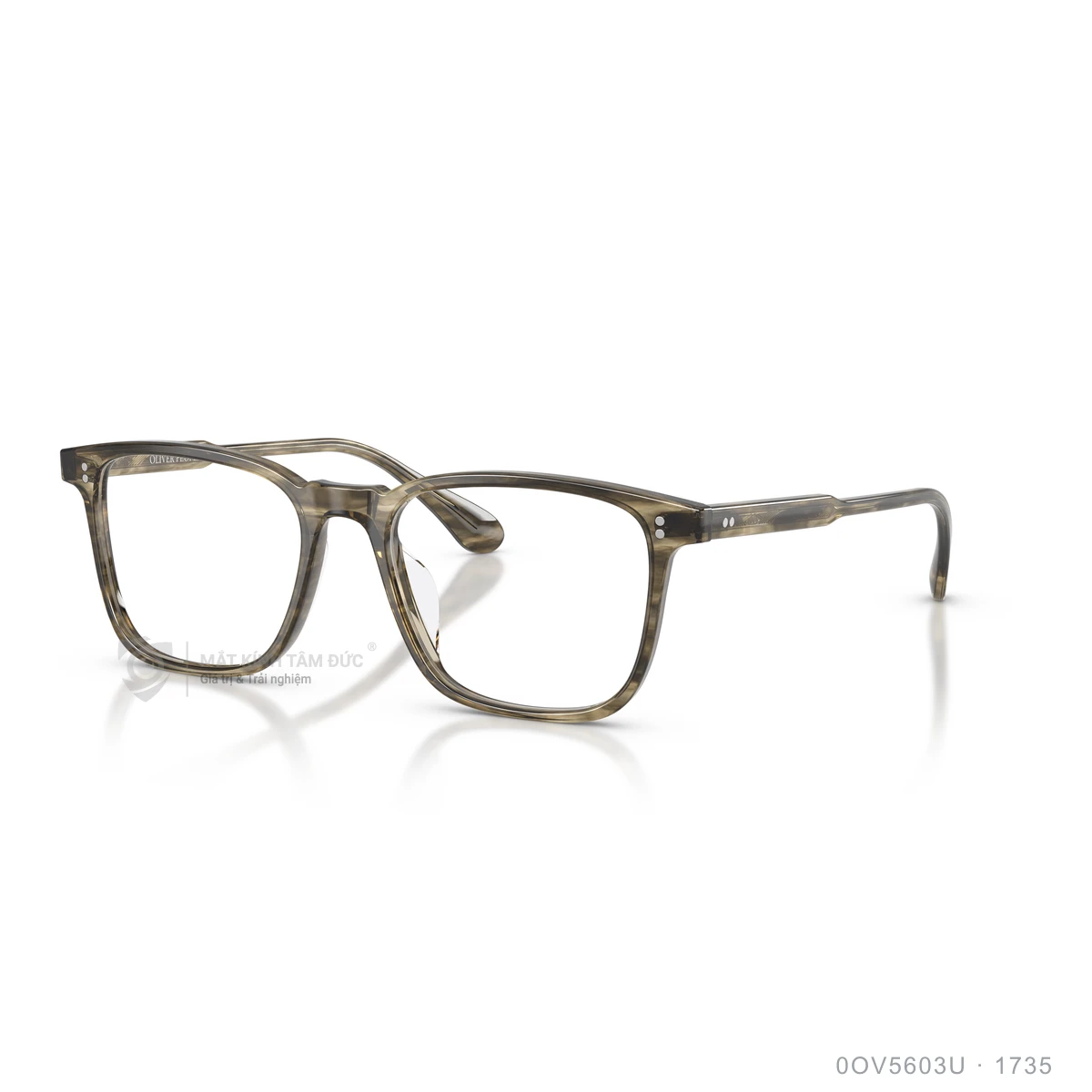 Chi tiết góc nghiêng Gọng kính Oliver Peoples 0OV5603U
