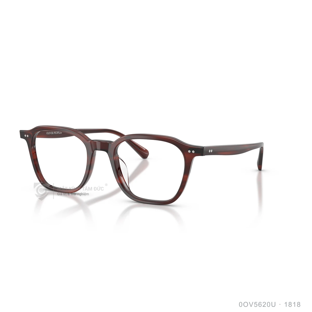 Chi tiết góc nghiêng Gọng kính Oliver Peoples 0OV5620U