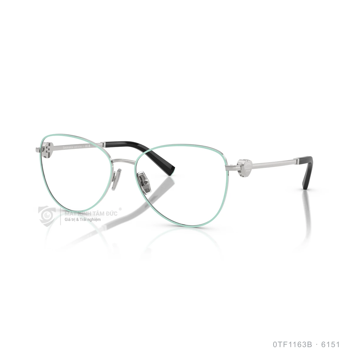 Chi tiết góc nghiêng Gọng kính Tiffany & Co. 0TF1163B