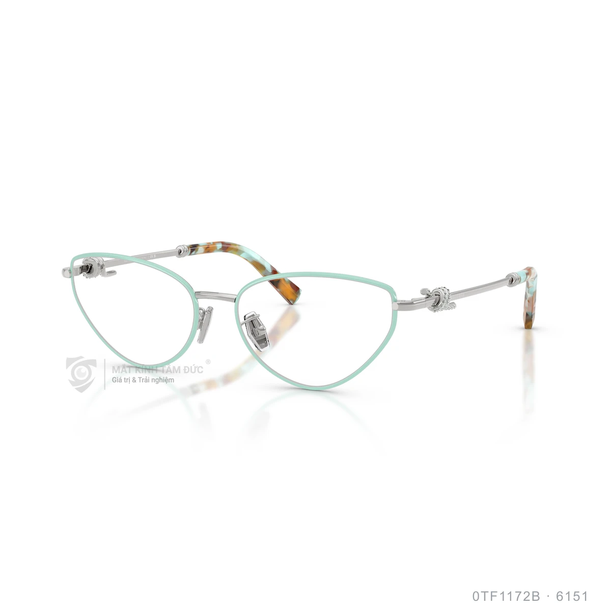 Gọng kính Tiffany &amp; Co. 0TF1172B - Ảnh 12