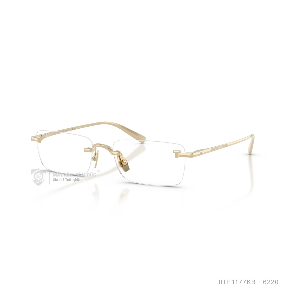 Chi tiết góc nghiêng Gọng kính Tiffany & Co. 0TF1177KB