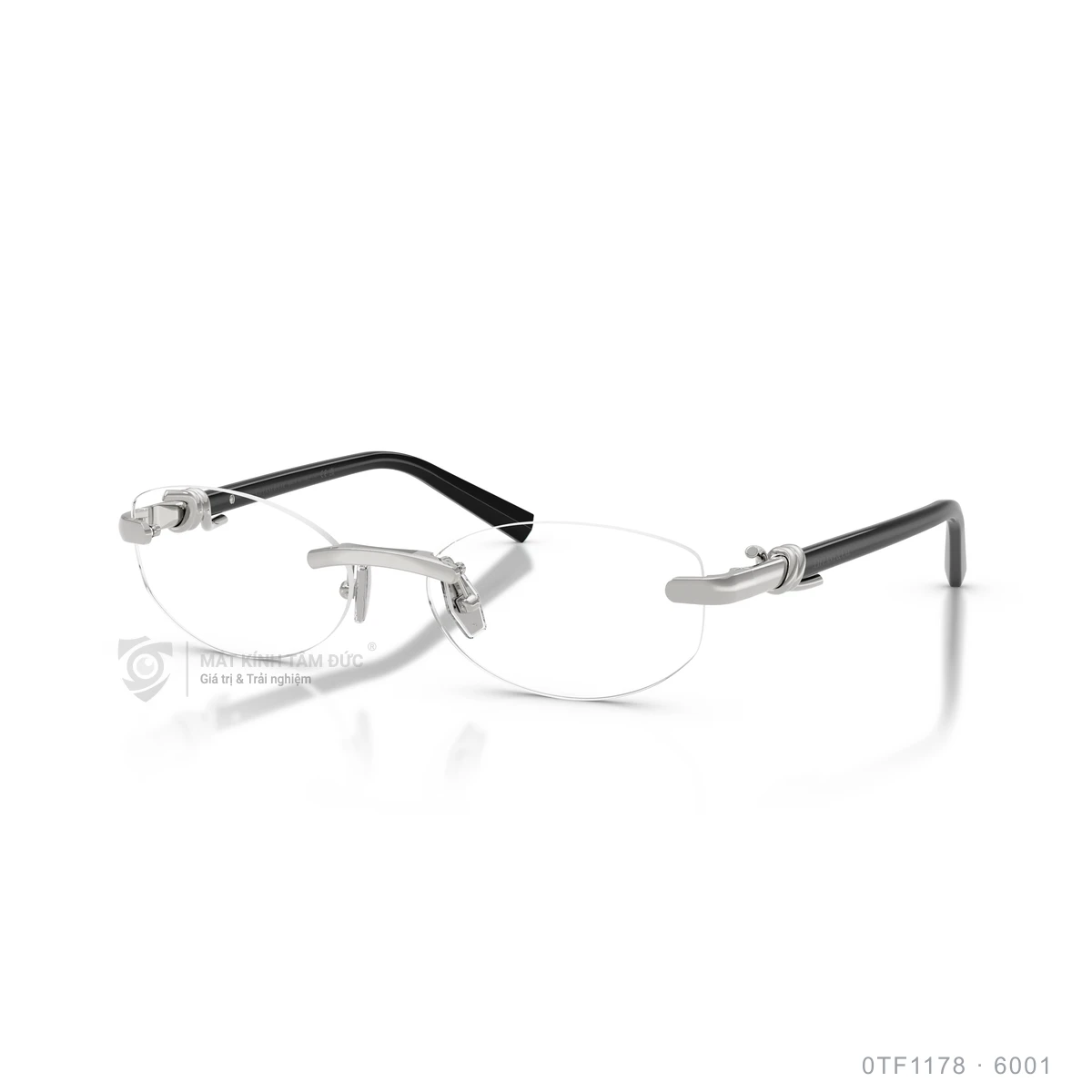Chi tiết góc nghiêng Gọng kính Tiffany & Co. 0TF1178