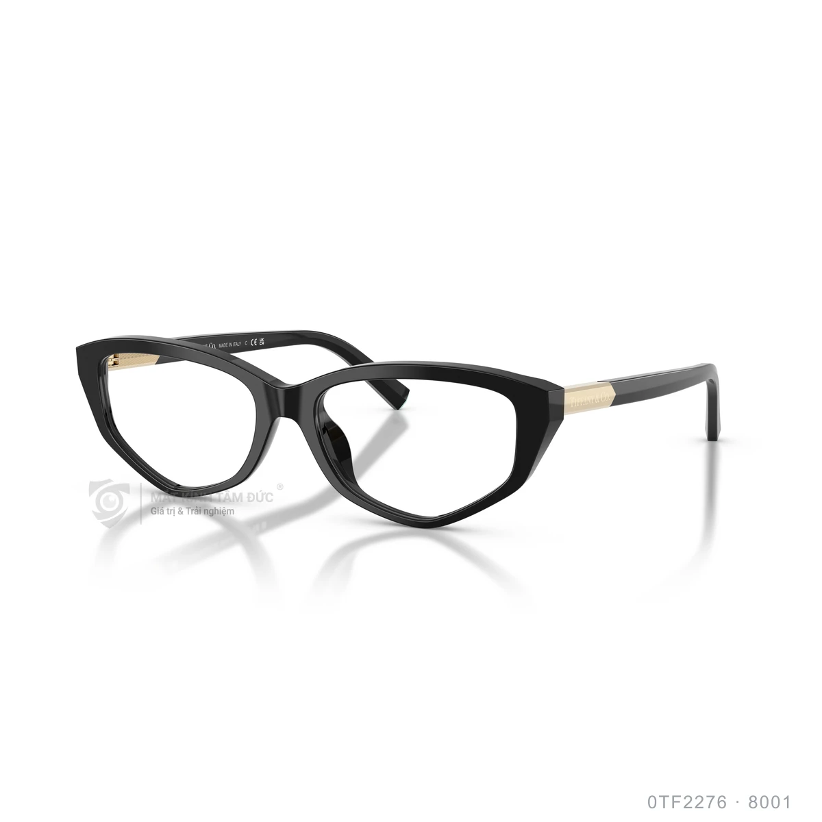 Gọng kính Tiffany &amp; Co. 0TF2276 - Ảnh 2