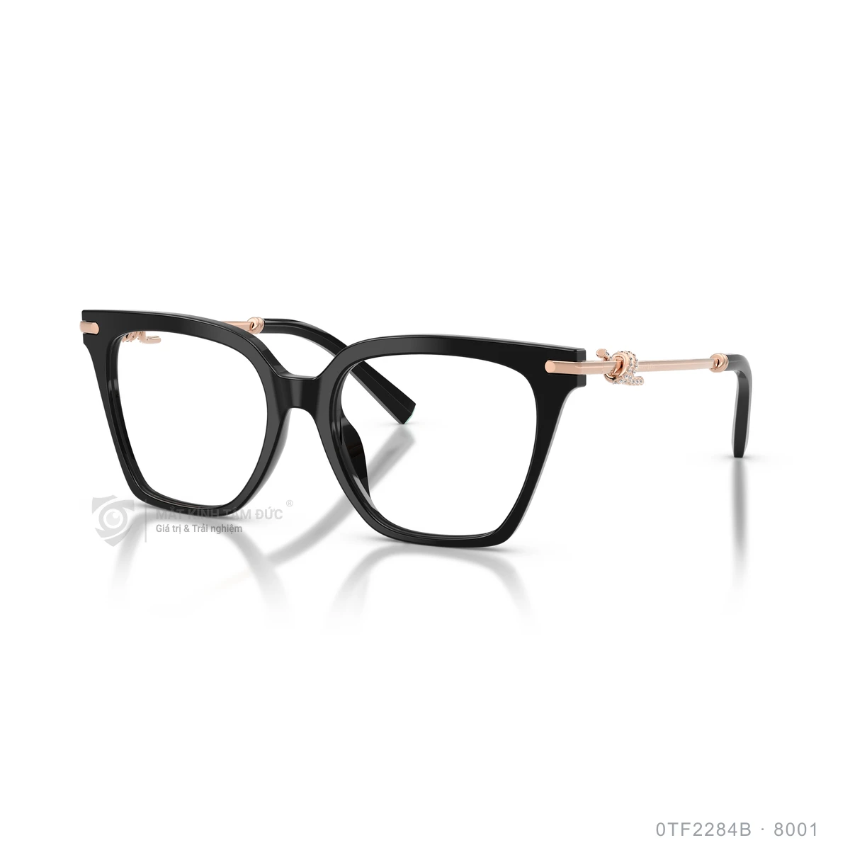 Chi tiết góc nghiêng Gọng kính Tiffany & Co. 0TF2284B