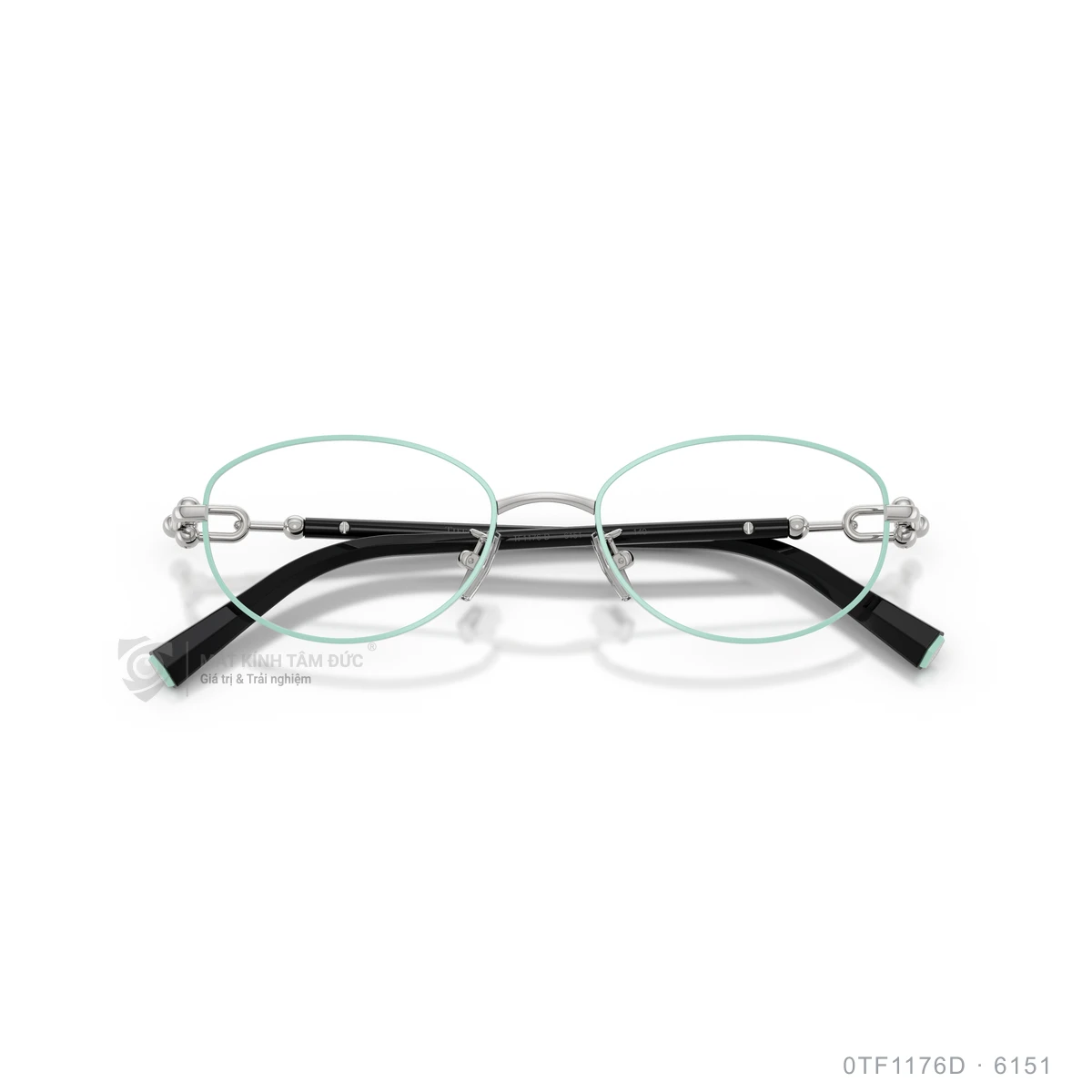 Gọng kính Tiffany & Co. 0TF1176D - Ảnh 13