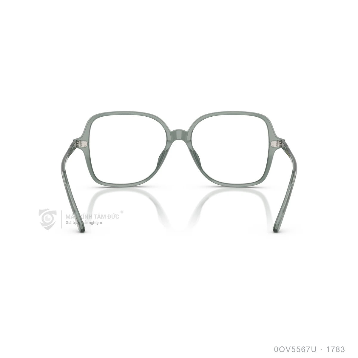 Gọng kính Oliver Peoples 0OV5567U - Ảnh 20