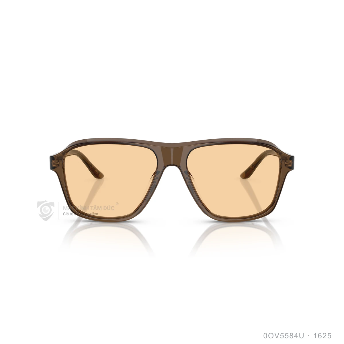 Hình ảnh thực tế Gọng kính Oliver Peoples 0OV5584U