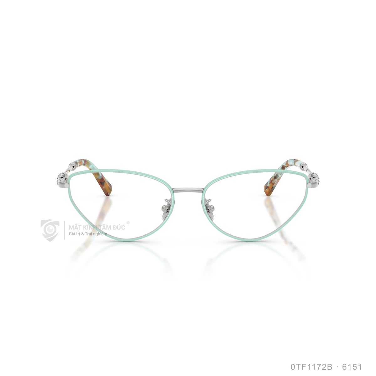 Gọng kính Tiffany &amp; Co. 0TF1172B - Ảnh 11